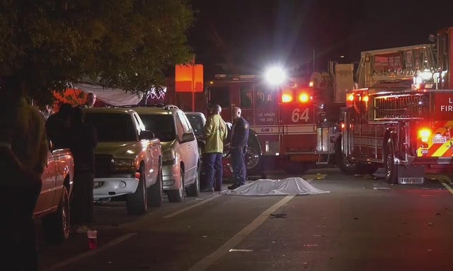 south-la-fatal-pedestrian-crash.jpg 