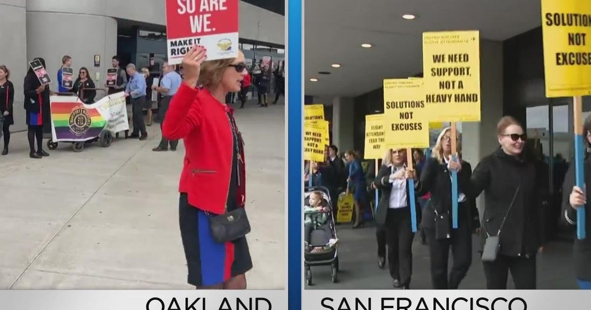 Flight attendants picket nationwide over salary, working conditions