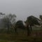 Hurricane Ian rips into western Cuba 