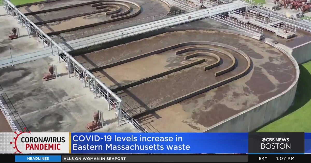COVID19 levels increase in Eastern Massachusetts wastewater CBS Boston