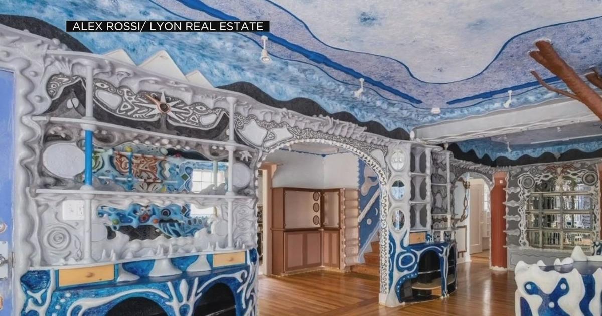 Sacramento house goes viral for art design after listing