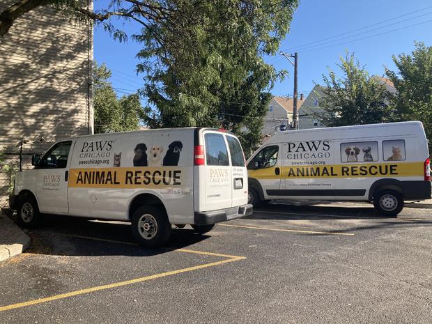 paws-chicago-rescue-transport-vans.jpg 