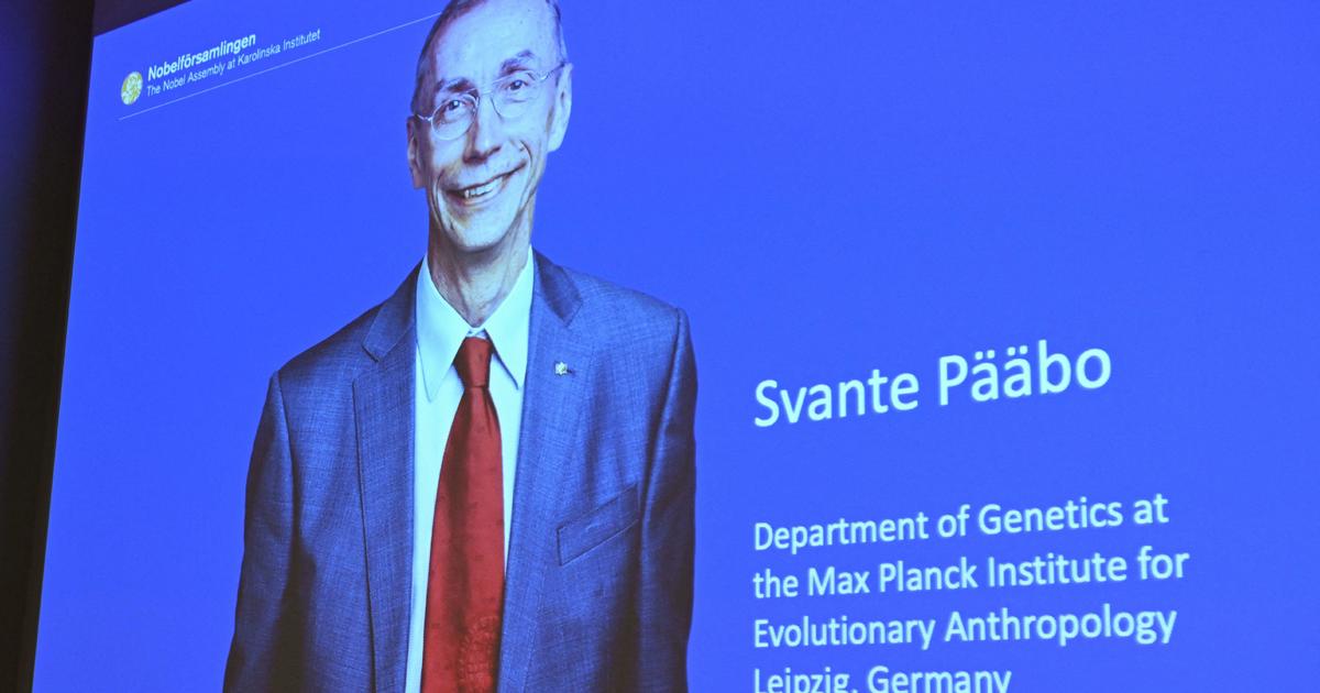 Sweden's Svante Pääbo wins Nobel prize in medicine for work on evolution