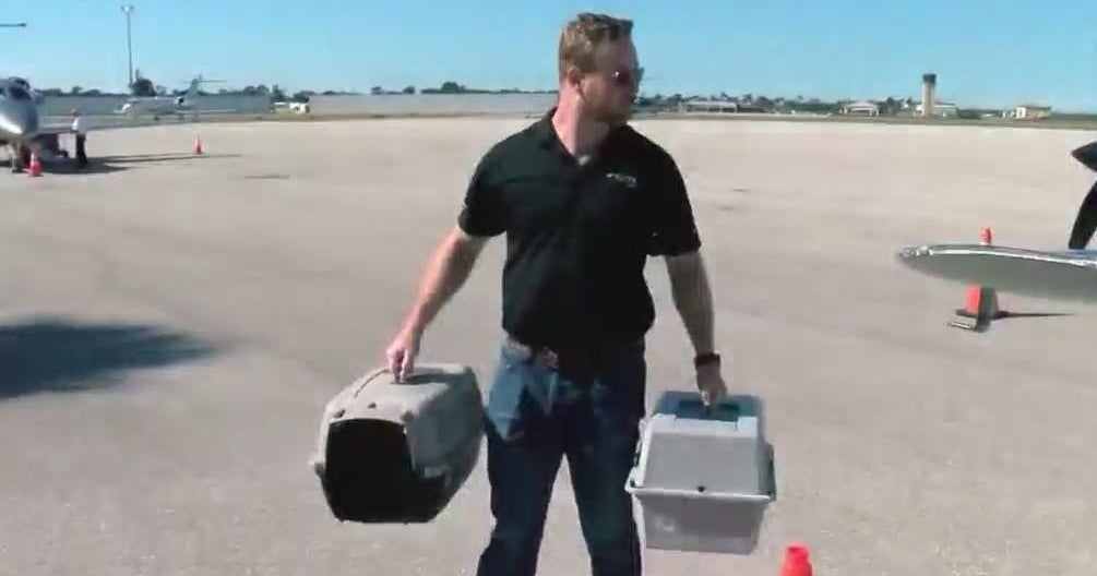 Brandywine Valley SPCA helps to airlift shelter animals in Florida