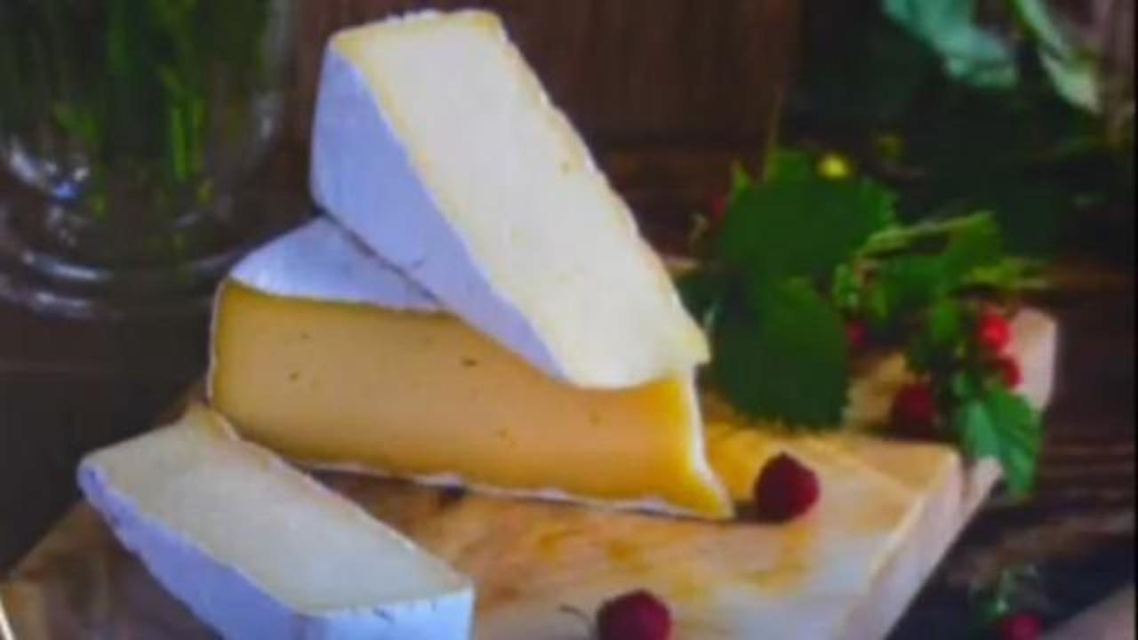 The Mo [NL] - Cheese 