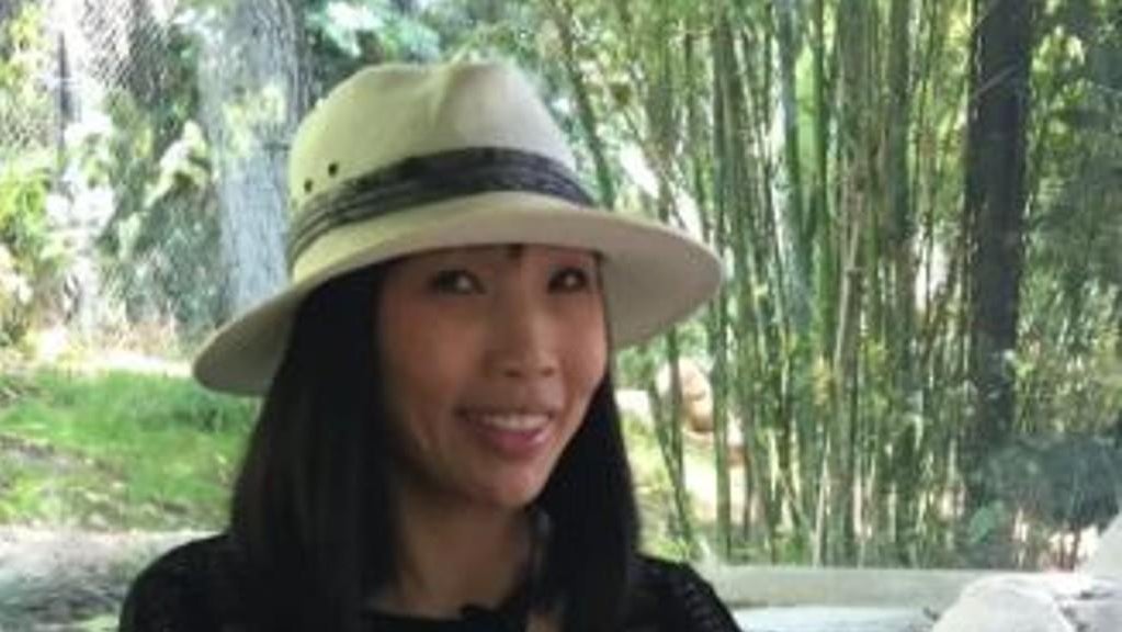 Suspect arrested in deadly hit-and-run that killed Walnut Creek nail ...
