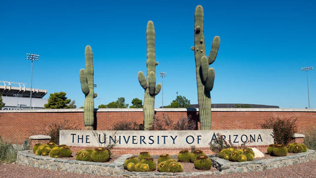 University Of Arizona 