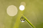 One water drop on a blade of grass 