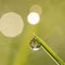 One water drop on a blade of grass 