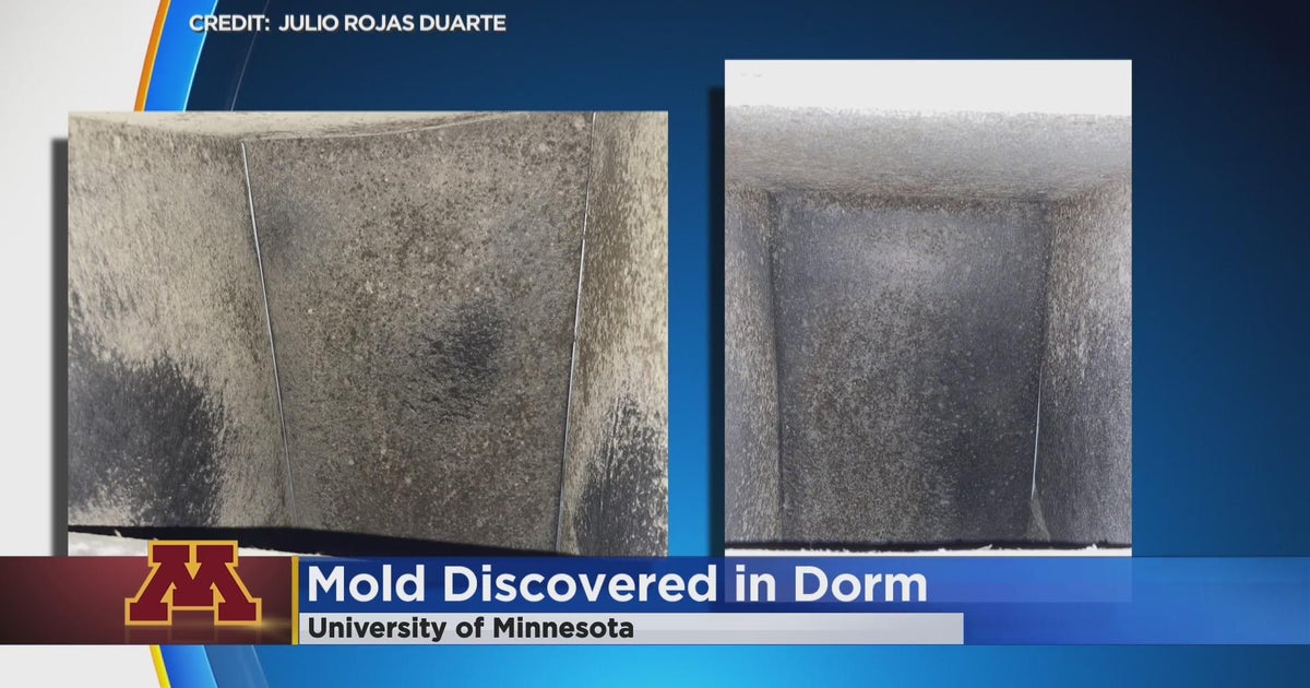 University of Minnesota confirms mold growth in freshman dorm vents ...