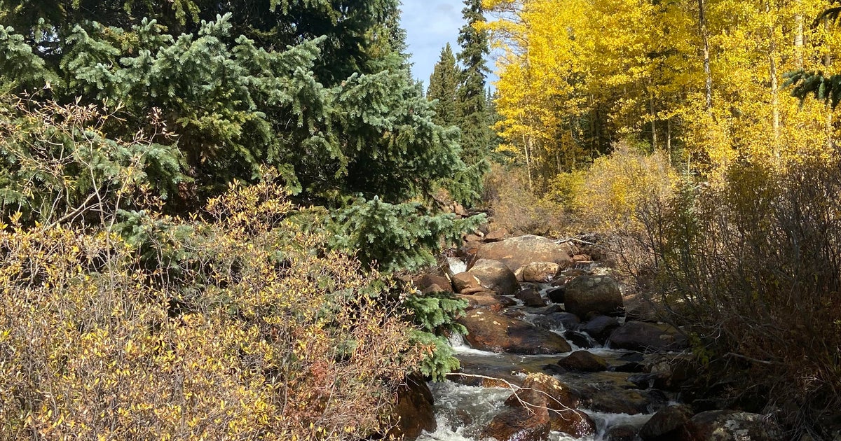 Perfect weather for leaf peeping - Vimarsana News