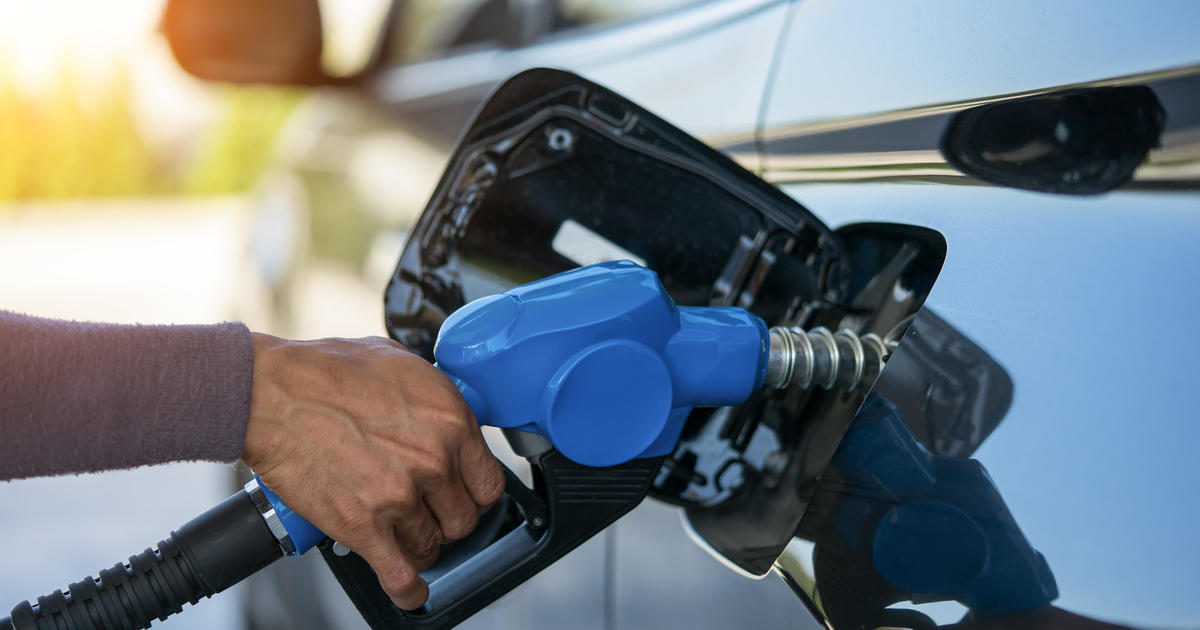 Florida gasoline charges edge lower soon after placing new 2024 substantial