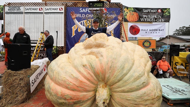 Minnesota wins the World Championship of Pumpkin in Half Moon Bay 