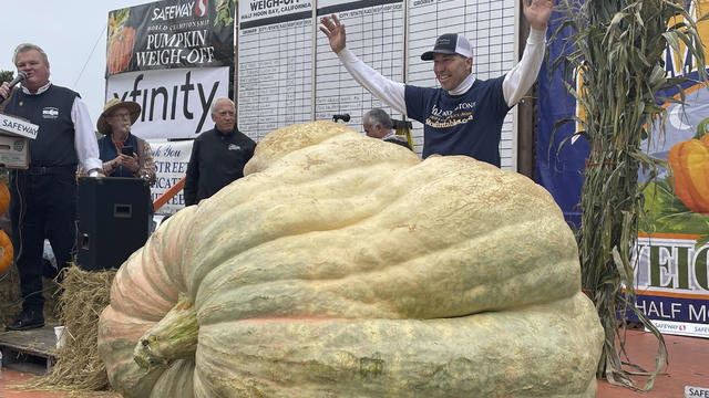 Giant Pumpkin Winner 