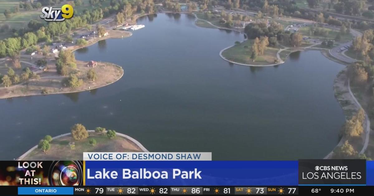 Look At This Lake Balboa Park CBS Los Angeles