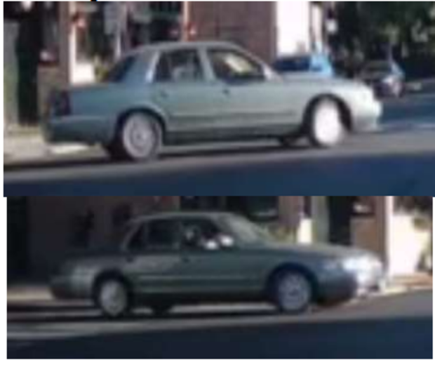 albany-park-hit-run-photos.png 