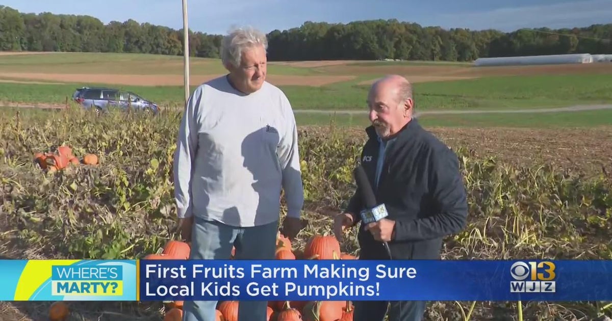 Where's Marty? At Fresh Fruits Farm making sure children get pumpkins