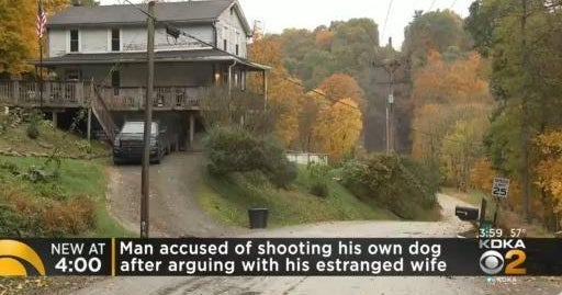 Avonmore man accused of shooting, killing his own dog after argument ...