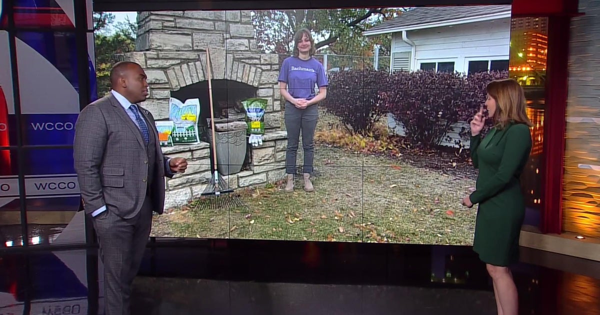 Fall yard care tips to ensure lush lawns next spring CBS Minnesota