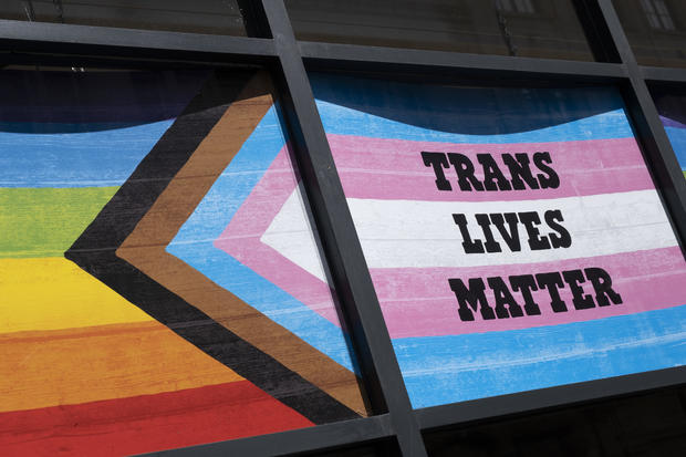 Progress And Transgender Pride Flag In London 