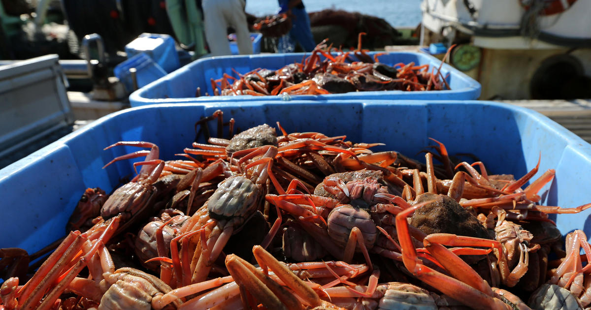 Alaska snow crab season canceled as officials investigate disappearance of an estimated 1 billion crabs