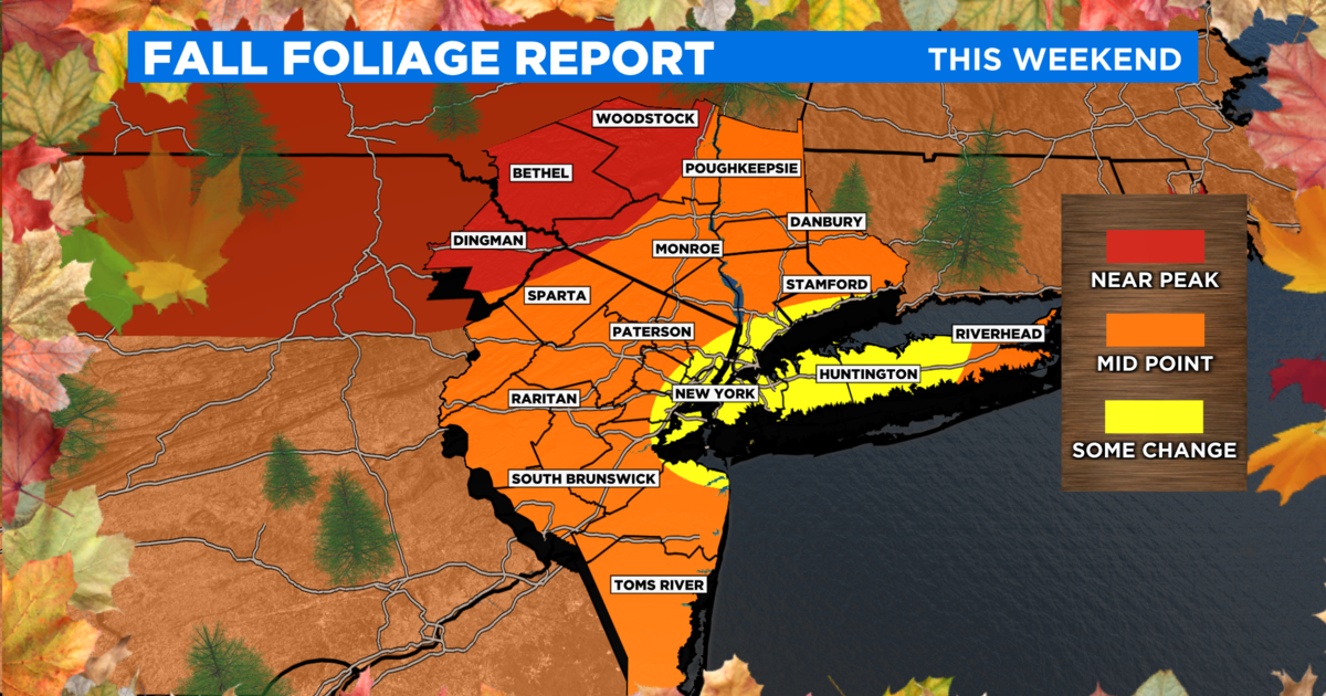 Fall foliage report Where to find peak leaves around TriState Area