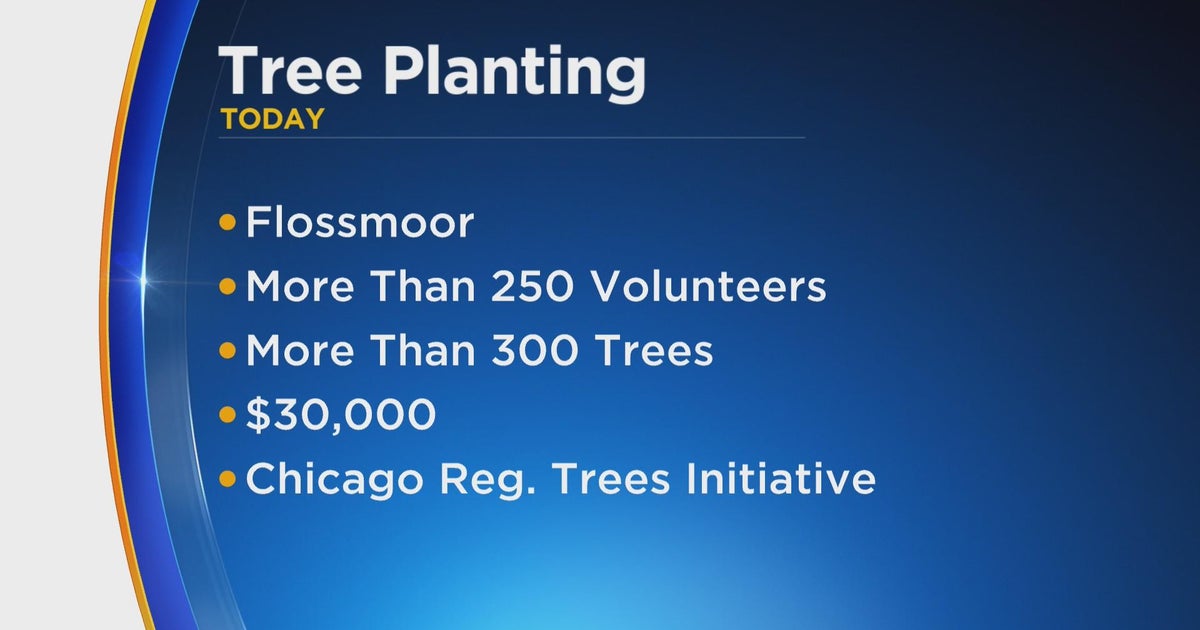 Volunteers will plant over 300 trees in south suburban Flossmoor CBS