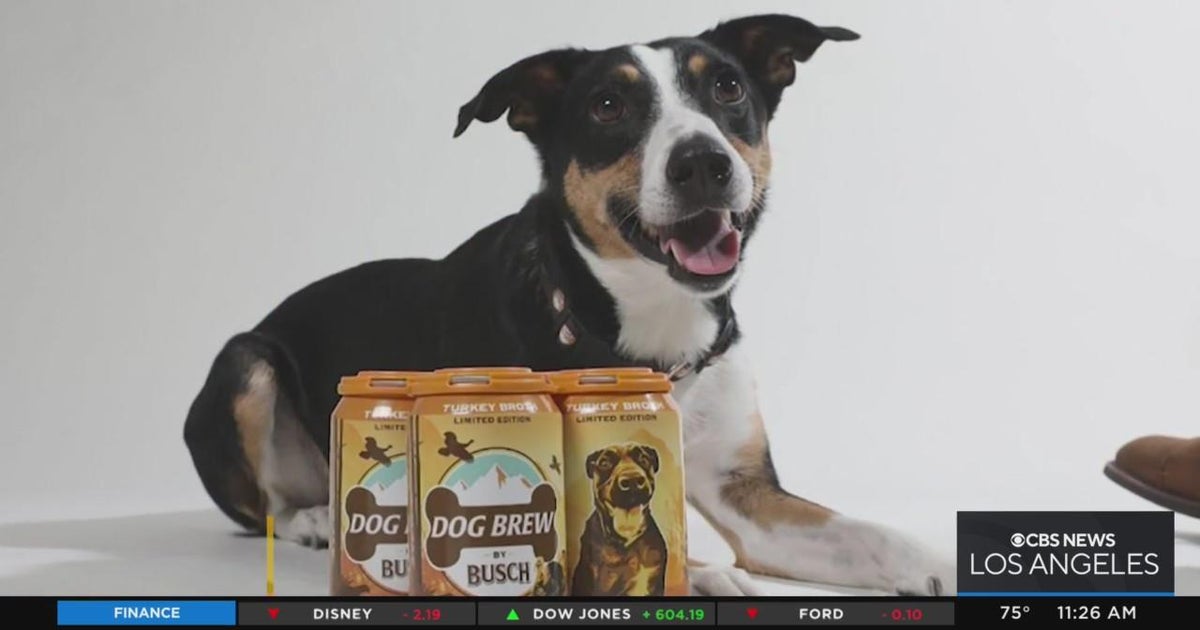 Busch unveils nonalcoholic "Dog Brew" CBS Los Angeles