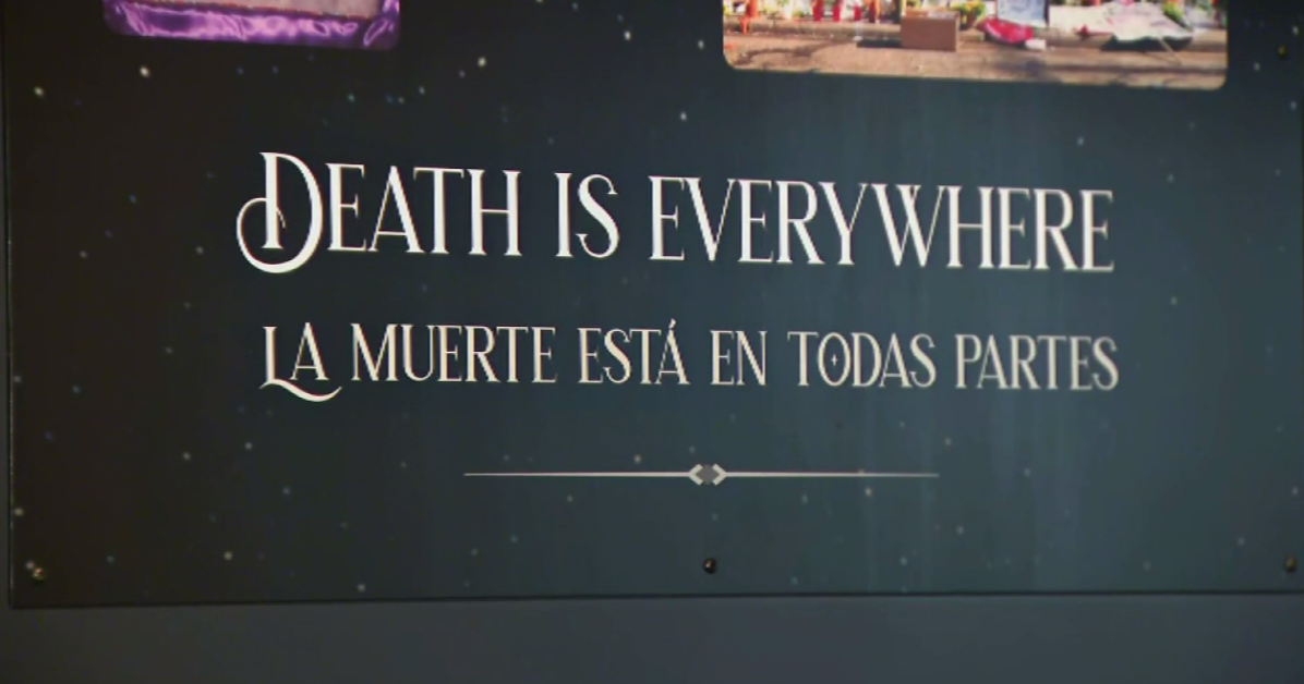 New Field Museum exhibit looks at how we experience death CBS Chicago
