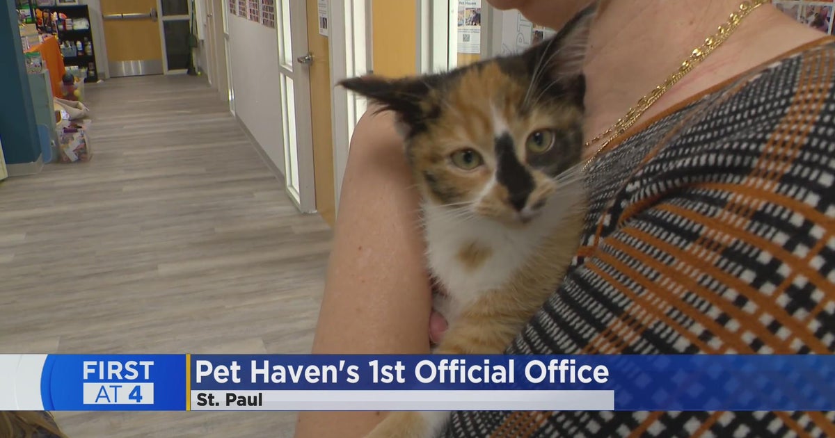 Major upgrade at a Twin Cities animal rescue CBS Minnesota