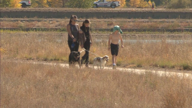 6p-kcnc-newscast-monday-clean-feed-frame-22857.jpg 