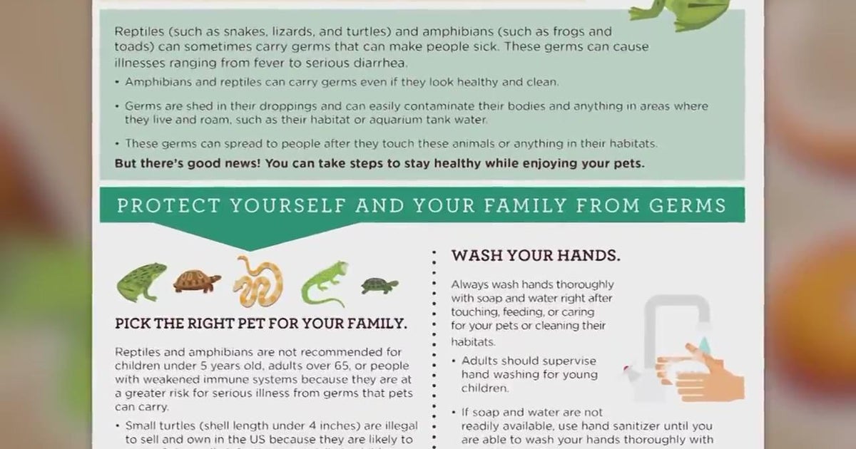 CDC warning about salmonella outbreak linked to pet bearded dragons