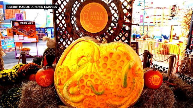An intricately carved pumpkin showing a tentacled sea monster holding mechanical cogs. 