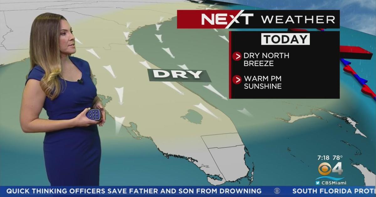 Forecast For Sunday, Oct. 23: Warm, Stray Shower Possible - CBS Miami