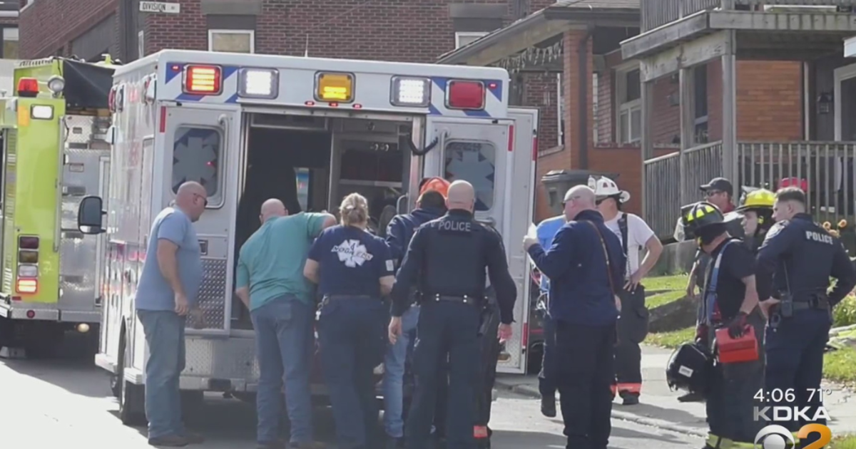 Worker dies after falling from tree in Ellwood City - CBS Pittsburgh