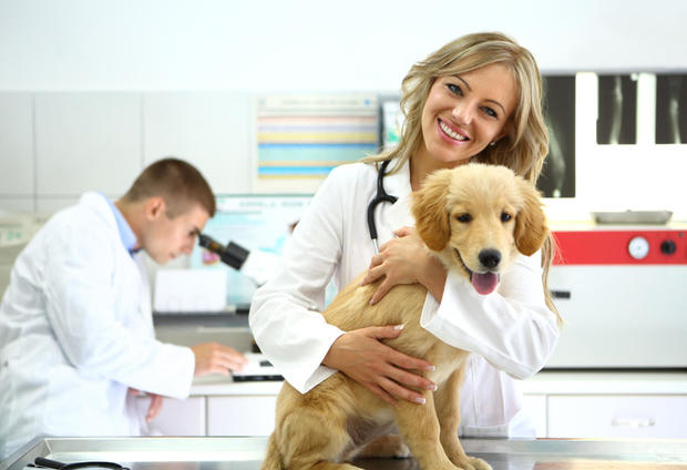 A smiling veterinarian with a healthy dog. 