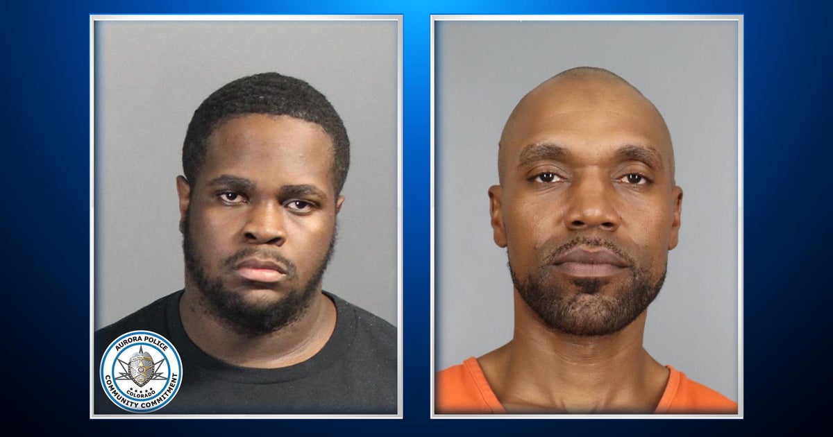 2 arrested in connection with hit & run that killed man, 2 dogs on ...