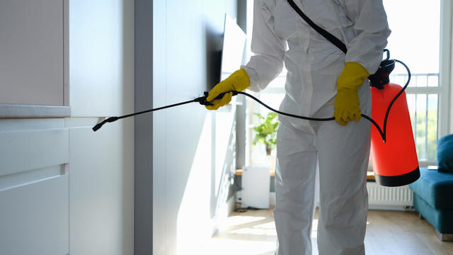 Worker in protective overalls and gloves disinfecting apartment 