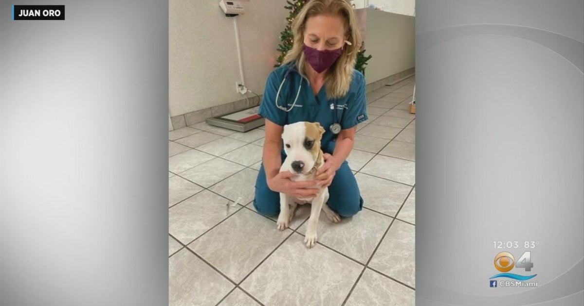 Coral Springs man said off duty Broward Sheriff’s deputy shot his doggy