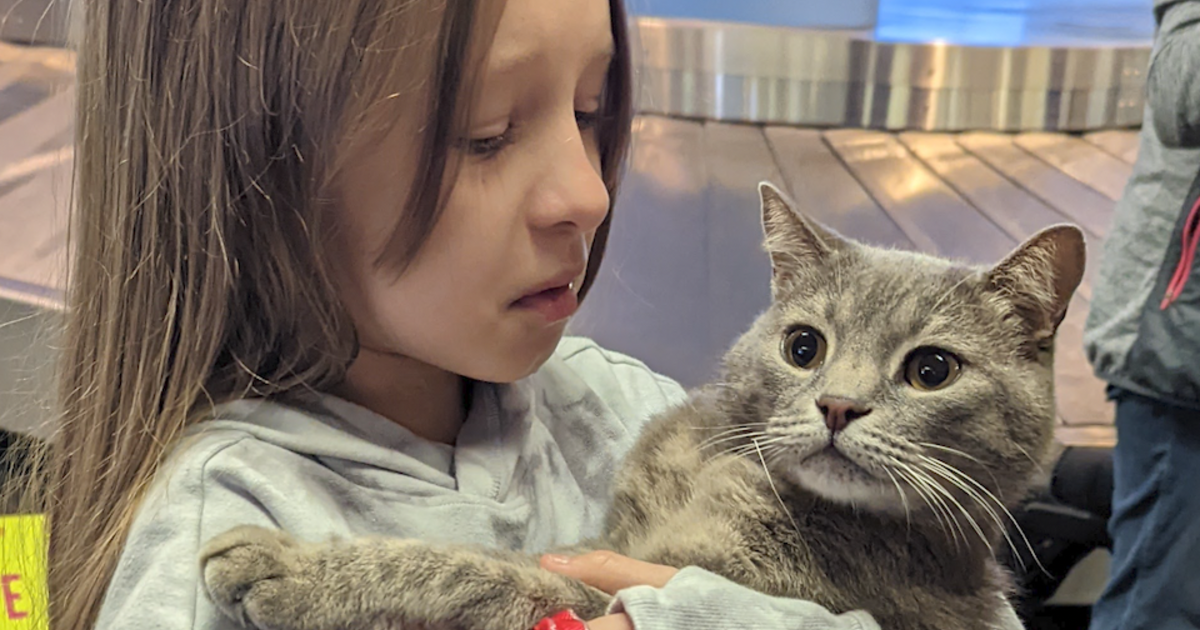 A 10-year-old girl was devastated to leave her cat behind when her family fled Ukraine. But they recently reunited in California.