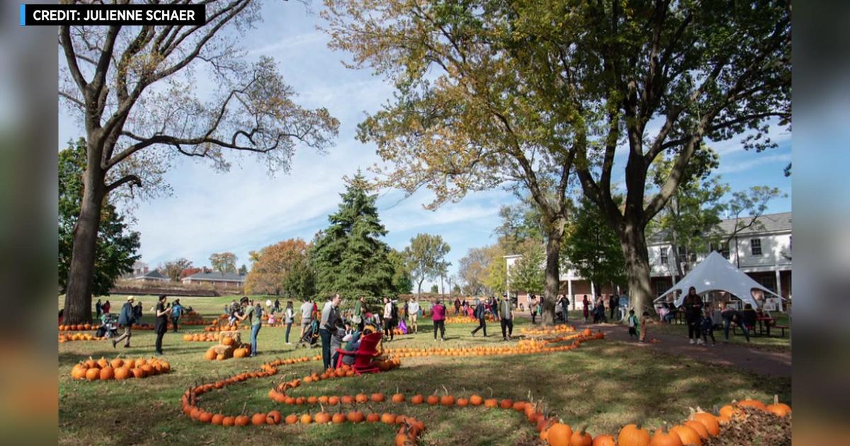 Time Out New York shares best ways to celebrate Halloween this weekend