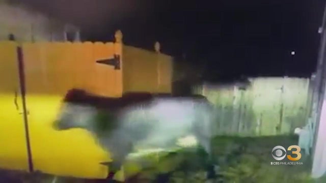 efd1563e034c080f7c04afe67c20cc11.jpg 