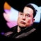 Growing number of companies halt Twitter ads after Musk deal