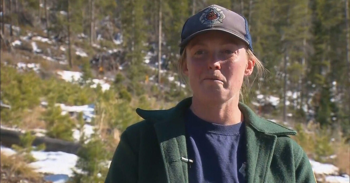 Prescribed burn in Breckenridge "unprecedented" because of multi-agency approach, not size or location - Vimarsana News