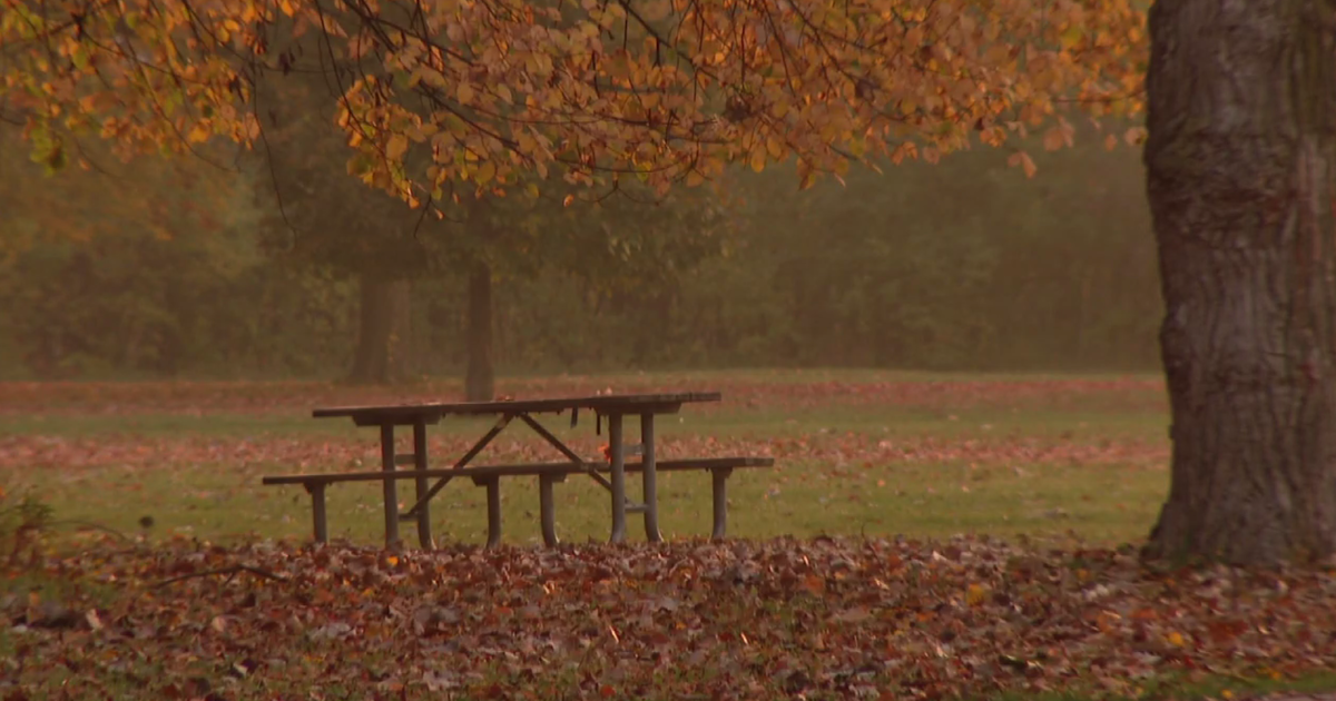 Wildlife in Distress - Forest Preserves of Cook County