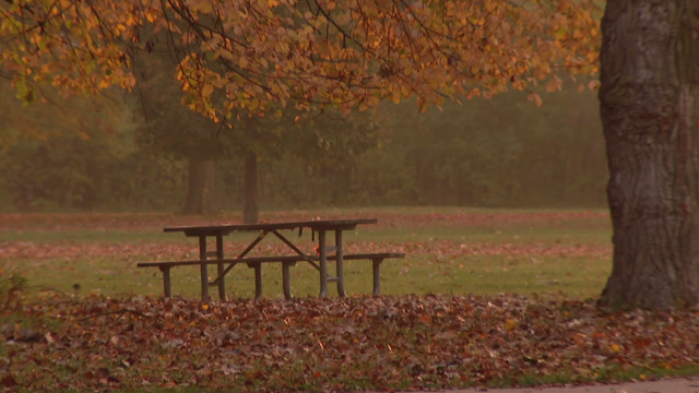 cook-county-forest-preserve.png 