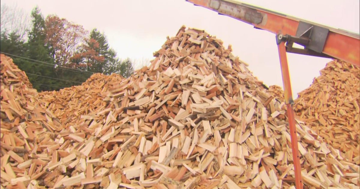 Wood, pellet stoves hot purchases as energy costs are expected