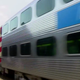 Woman, dog struck and killed by Metra train in Glencoe 
