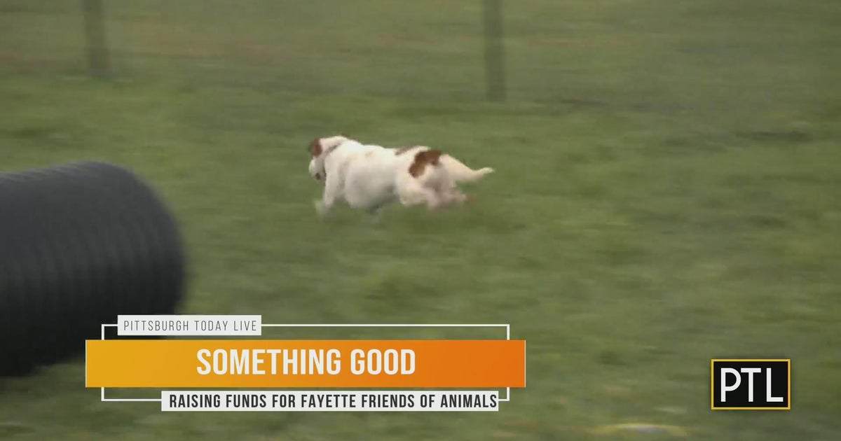 Something Good Fayette Friends of Animals CBS Pittsburgh