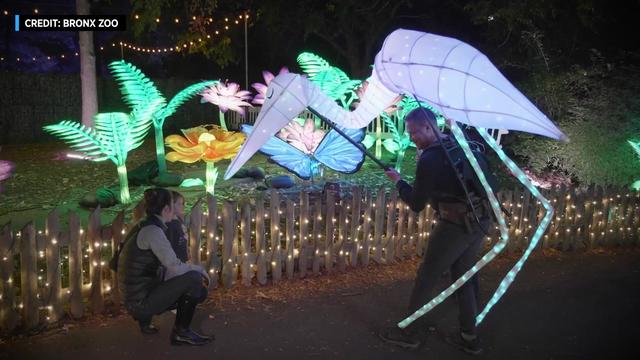 A puppeteer controlling a large lighted bird puppet interacts with a child at the Bronx Zoo. 